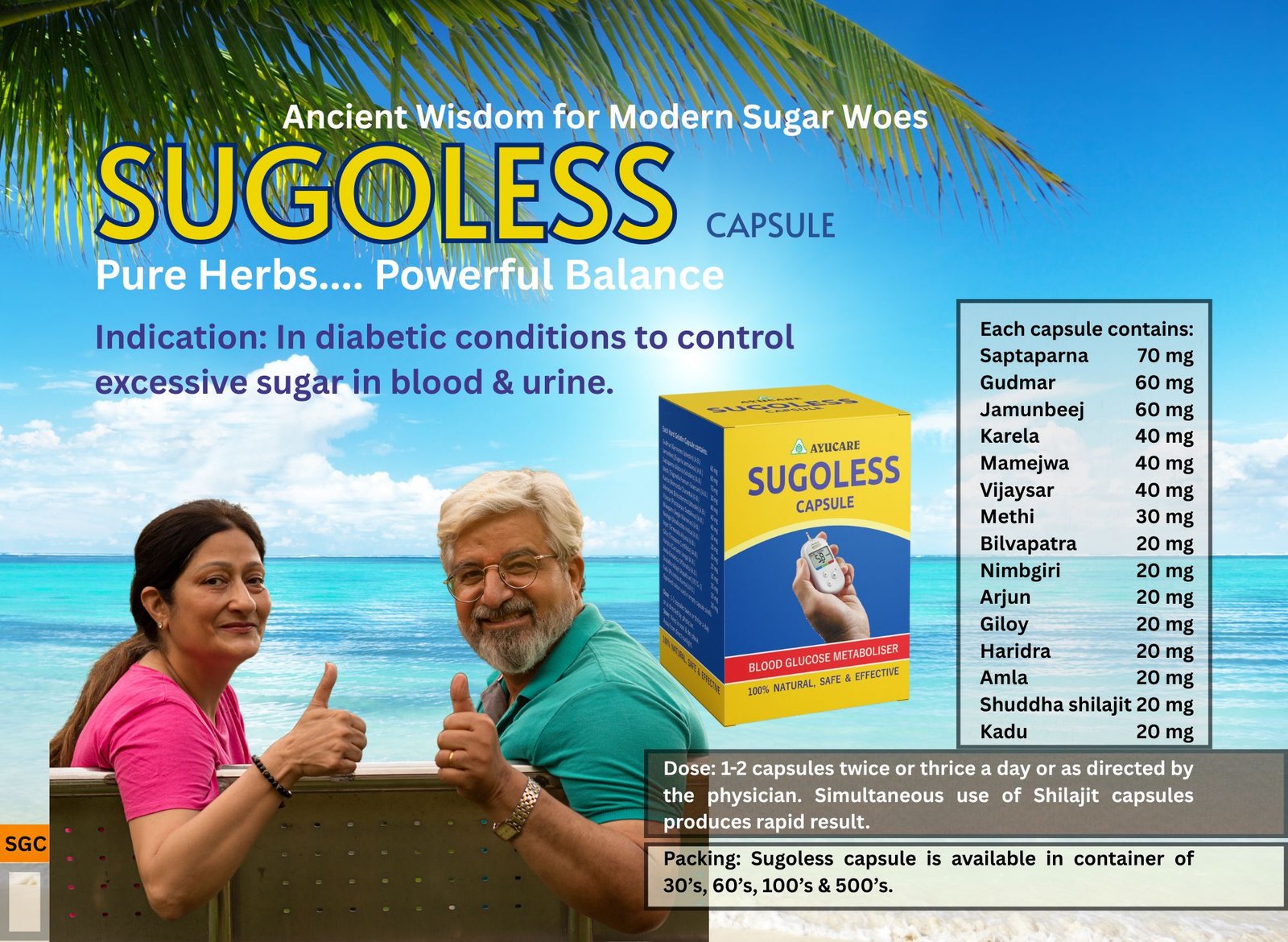 Diabetes – Sugoless Capsules 30 cap X 3 Pcs - Image 2